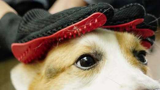 Pet Gloves